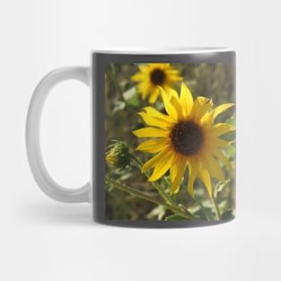 Sunflower, flowers, natural, nature, gifts Mug